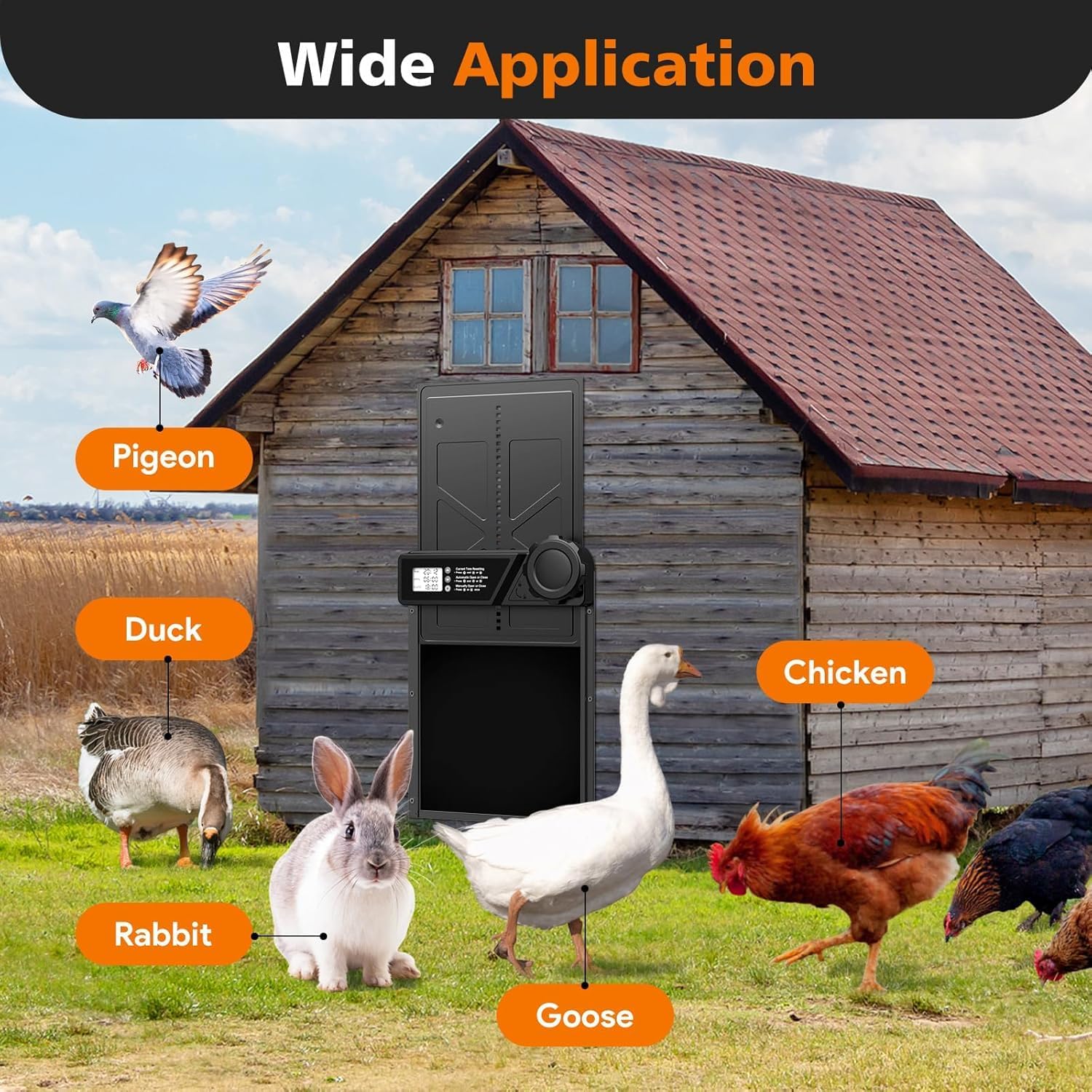 CARLA HOME Solar Automatic Chicken Coop Door with Timer, Light Sensor, Remote Control, Anti-Pinch, LED Screen & USB Charging