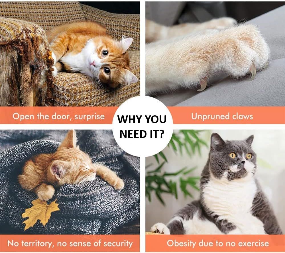 CARLA HOME 141cm Cat Tree Tower for Indoor Cats with Plush Perch, Ladder, Sisal Scratching Posts, Hammock & Condo for Kittens & Adult Cats (Beige)