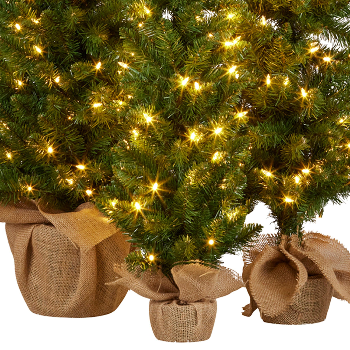 Christabelle Set of 3 Pre-Lit Christmas Trees Green Pine w/LED Lights, Hessian Base & Individual Plugs Varying Heights