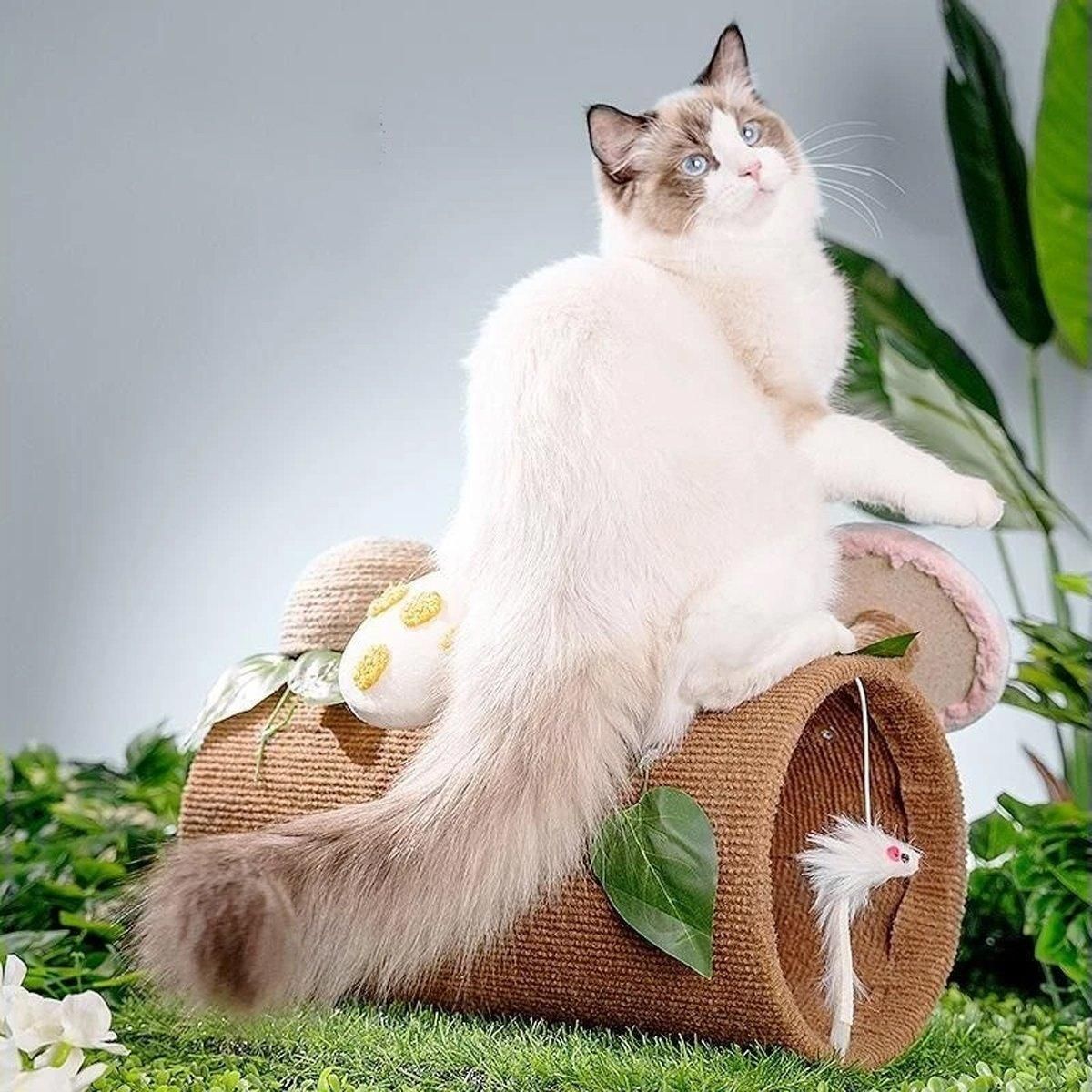 Multifunctional Cat Scratching Board Tree Pet Hut with Hole for Cats and Kittens