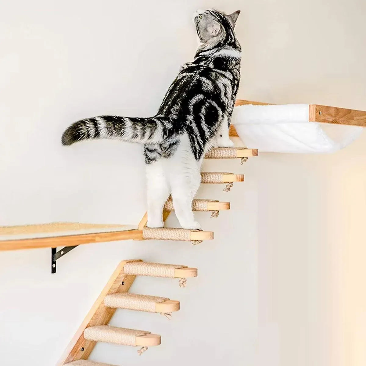 1-Piece Wall-Mounted Cat Climbing Shelf with Four Sisal Steps