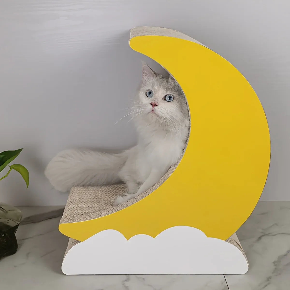 1-Piece Moon-Shaped Corrugated Cardboard Cat Scratcher