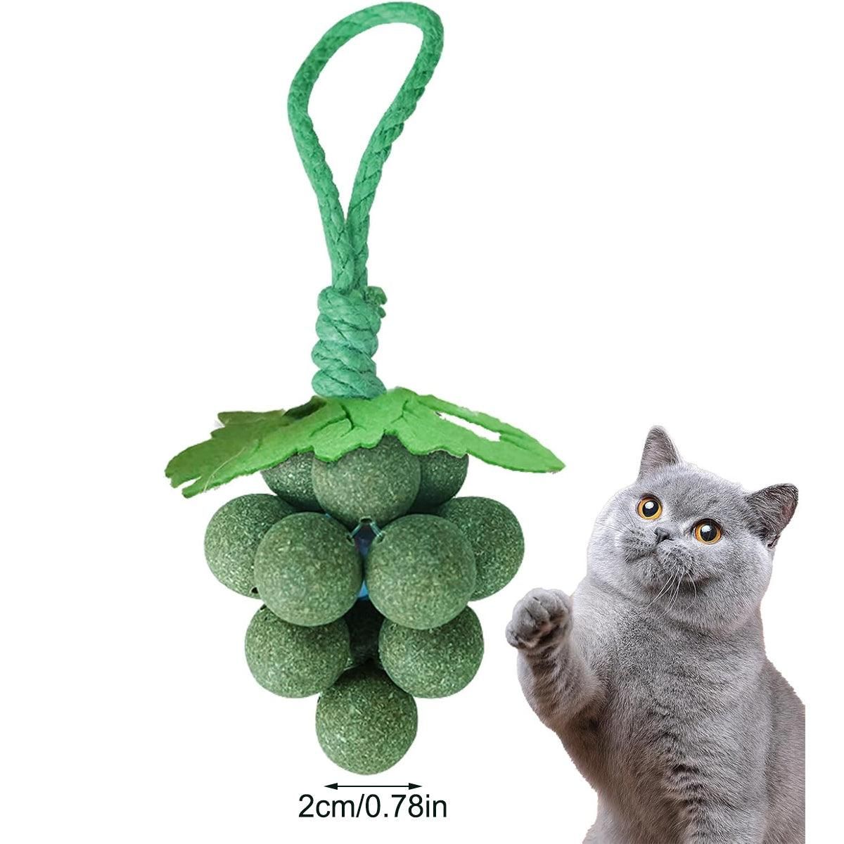 Catnip Toys Mint Ball Teeth Grinding Cleaning Teasing Toy for Cats Oral Health