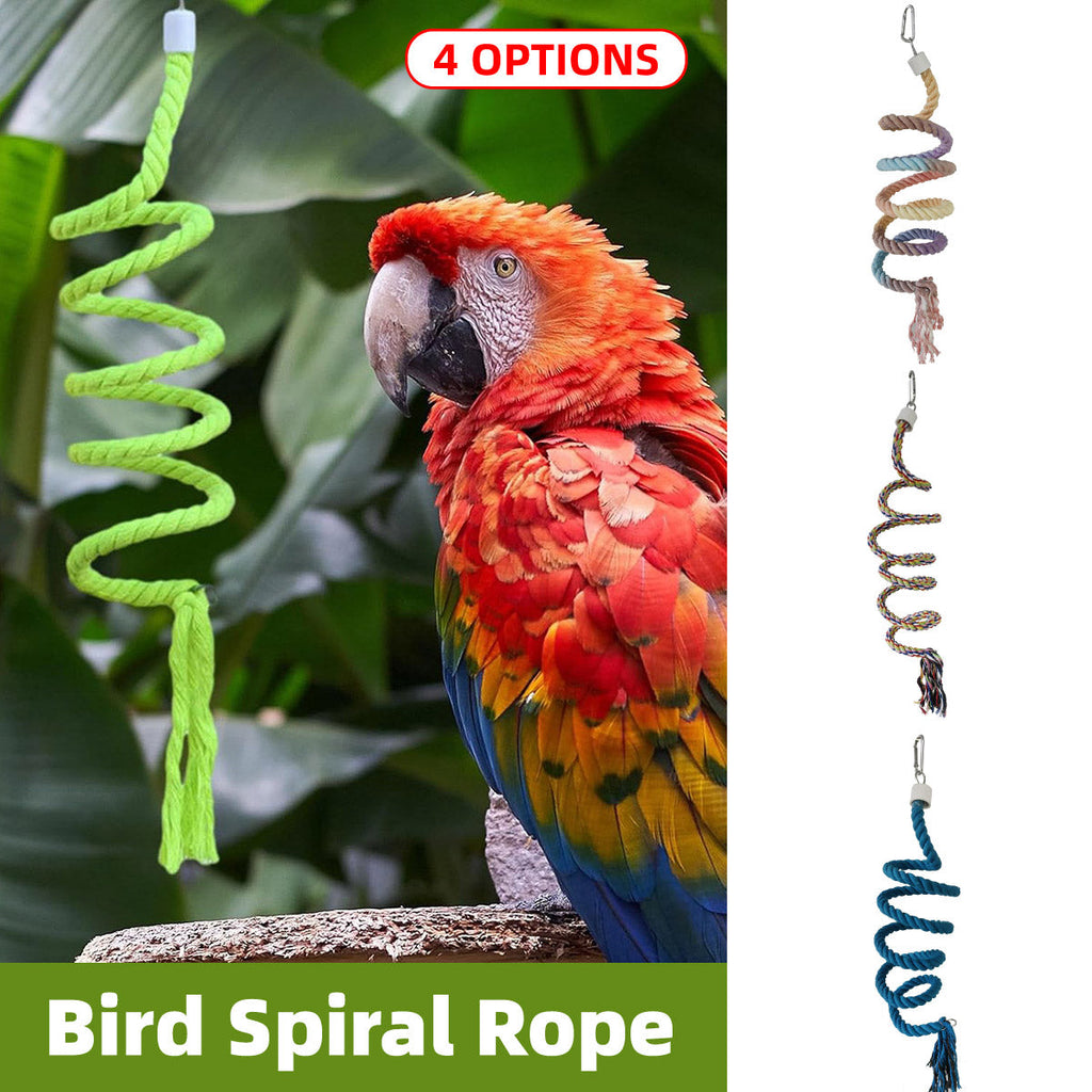 Beautiful view of Judicious Rope Ladders For Parrots Reboot