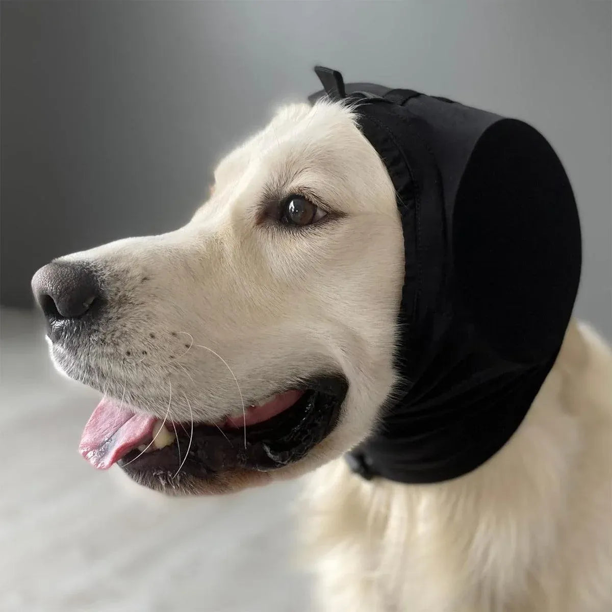 Black Adjustable Dog Ear Muffs Noise Reducing Pet Headwrap Protective Ear Cover - S