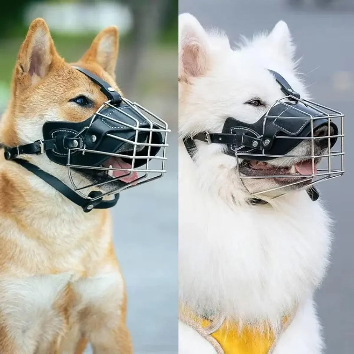 Anti Bite Anti Bark Dog Muzzle Mouthguard Adjustable for Small Medium Large Dogs - Black-L
