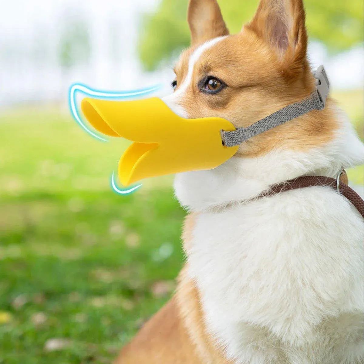 Comfortable Silicone Dog Muzzle Anti-Bite Soft Duck Muzzle Pet Training Supplies - M