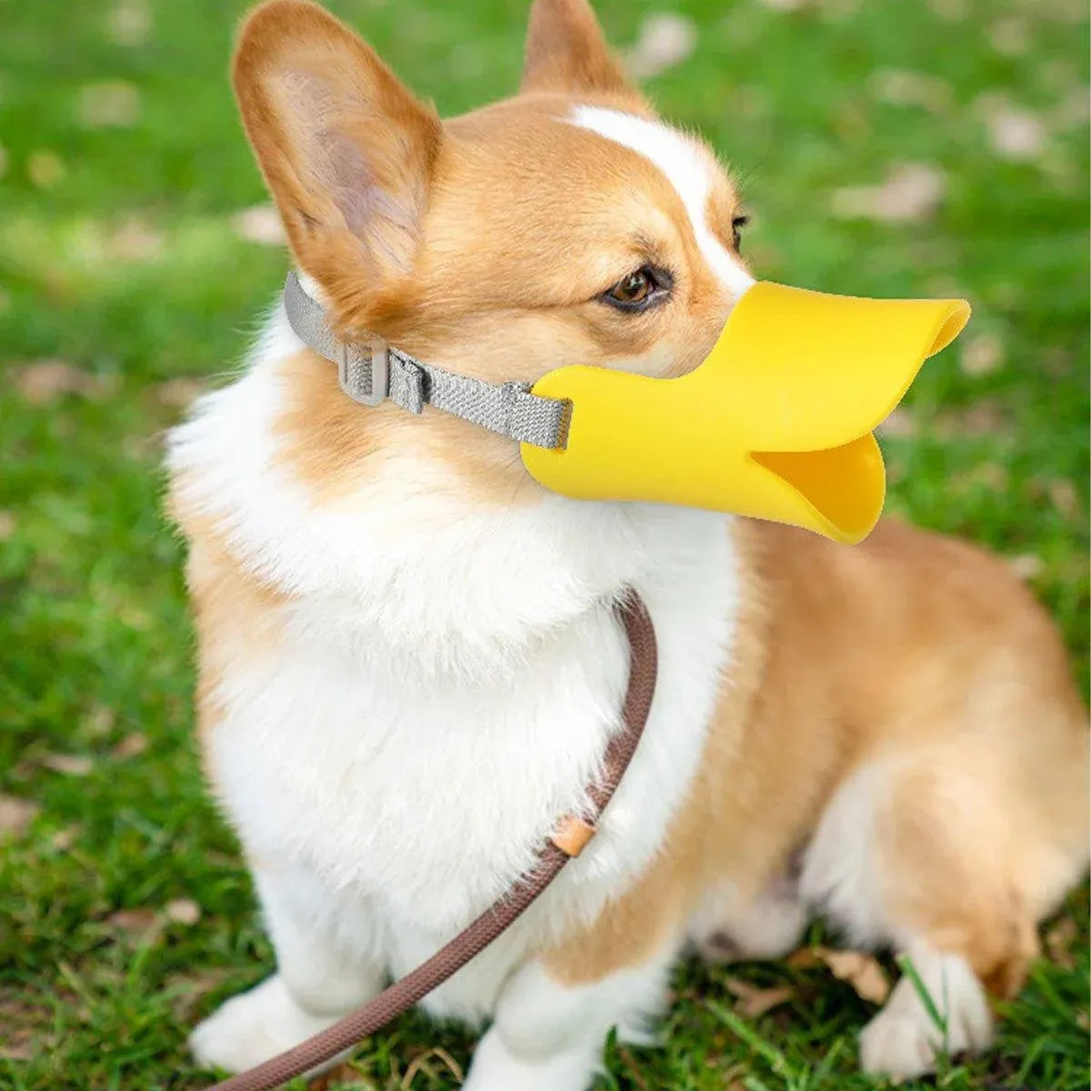 Comfortable Silicone Dog Muzzle Anti-Bite Soft Duck Muzzle Pet Training Supplies - M