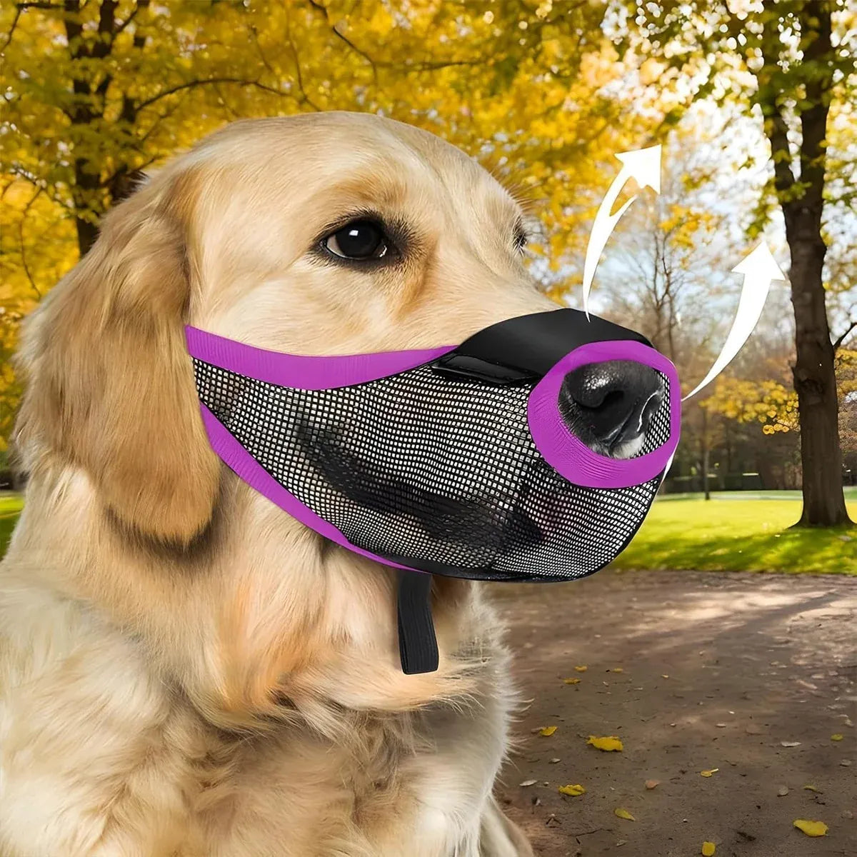 Pet Dog Breathable Lightweight Muzzle Face Mask Prevent Dogs Biting People Use - M