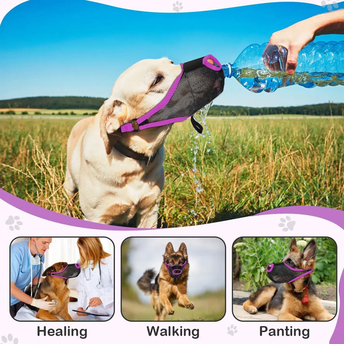 Pet Dog Breathable Lightweight Muzzle Face Mask Prevent Dogs Biting People Use - S