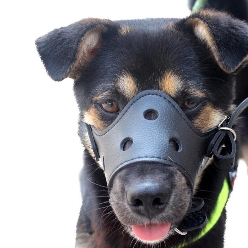 Adjustable Leather Pet Dog Mask Mouth Muzzle Anti Barking Bite Stop Chewing Brown - L