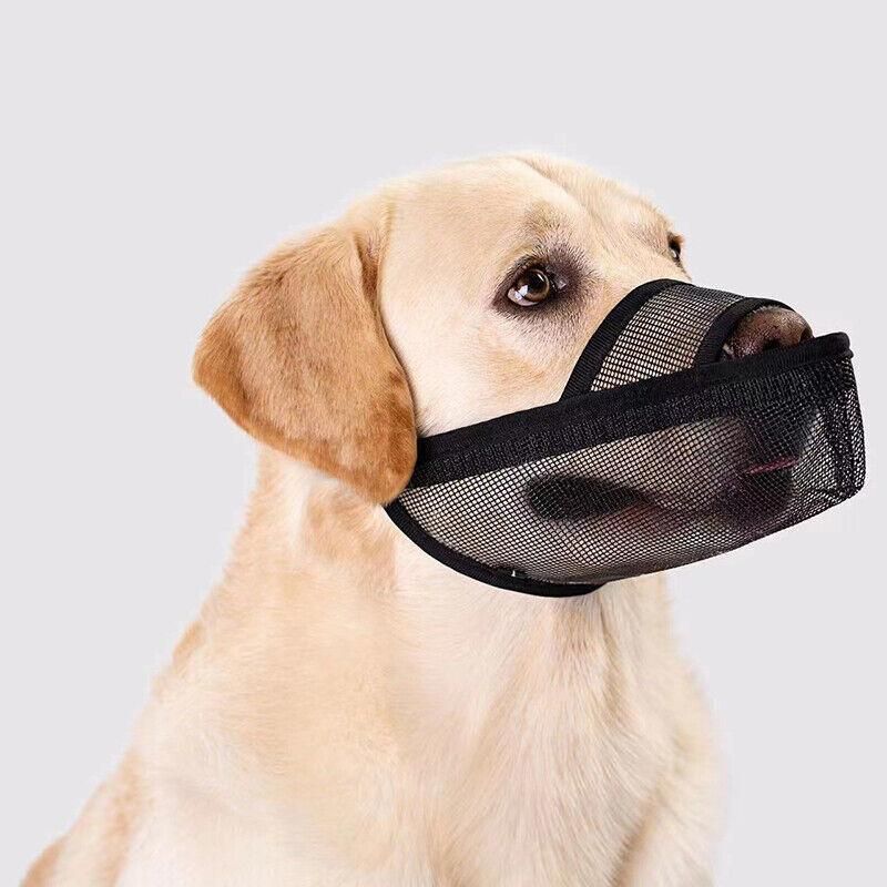 Adjustable XXS Size Pet Dog Mask Mouth Muzzle Anti Barking Bite Stop Chewing Mask - Beige