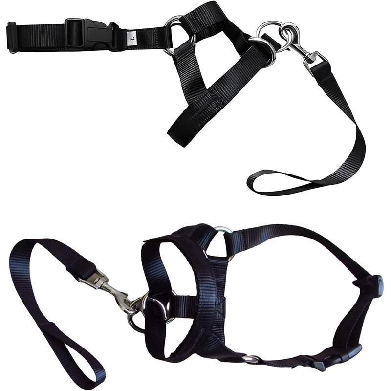 Black Dog Training Head Collar Halter Stop Pulling Training Tool Harness Strap Leader - S
