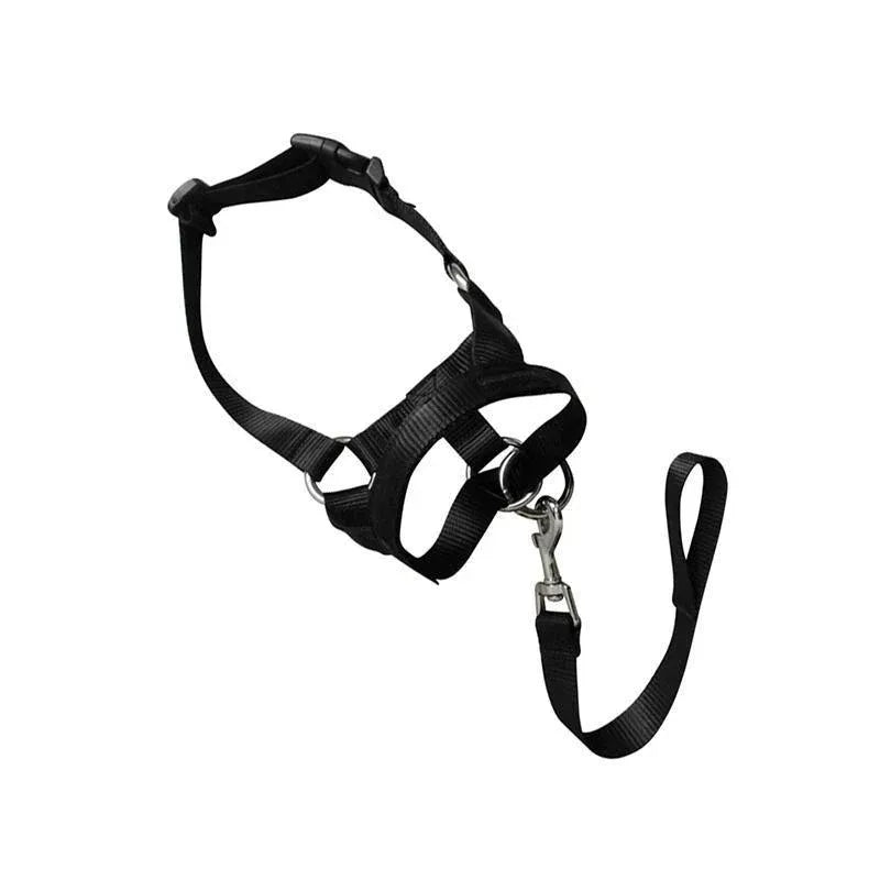 Black Dog Training Head Collar Halter Stop Pulling Training Tool Harness Strap Leader - M