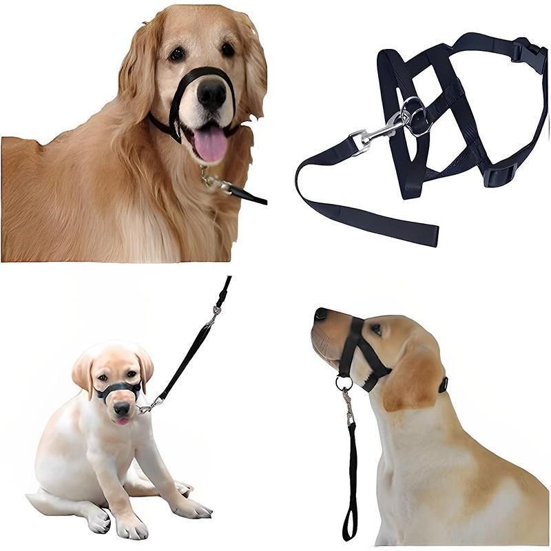 Black Dog Training Head Collar Halter Stop Pulling Training Tool Harness Strap Leader - XXL