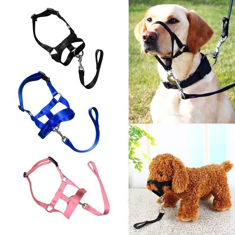 Black Dog Training Head Collar Halter Stop Pulling Training Tool Harness Strap Leader - XXL