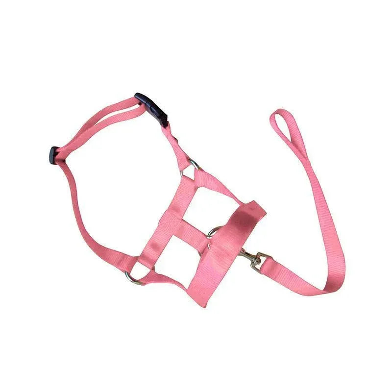 Pink Dog Training Head Collar Halter Stop Pulling Training Tool Harness Strap Leader - S