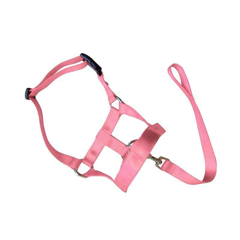 Pink Dog Training Head Collar Halter Stop Pulling Training Tool Harness Strap Leader - M