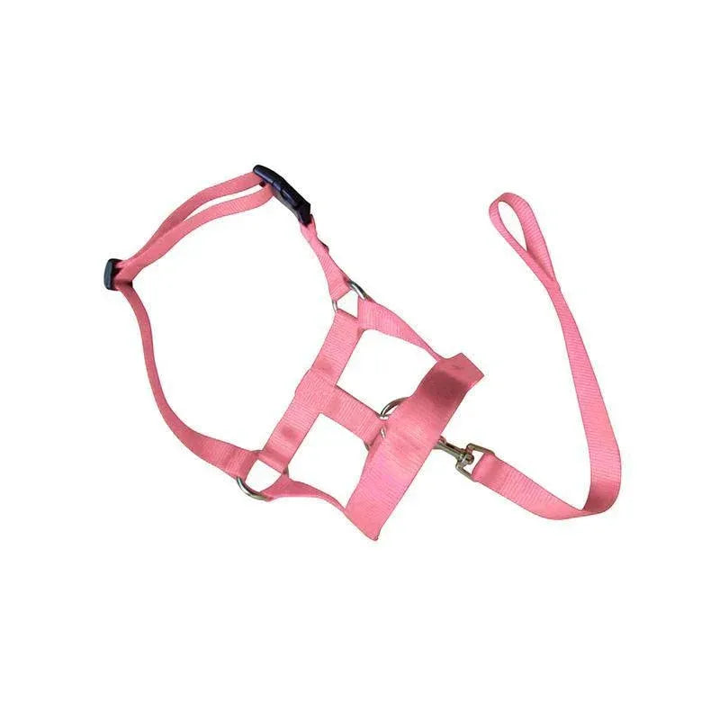 Pink Dog Training Head Collar Halter Stop Pulling Training Tool Harness Strap Leader - L