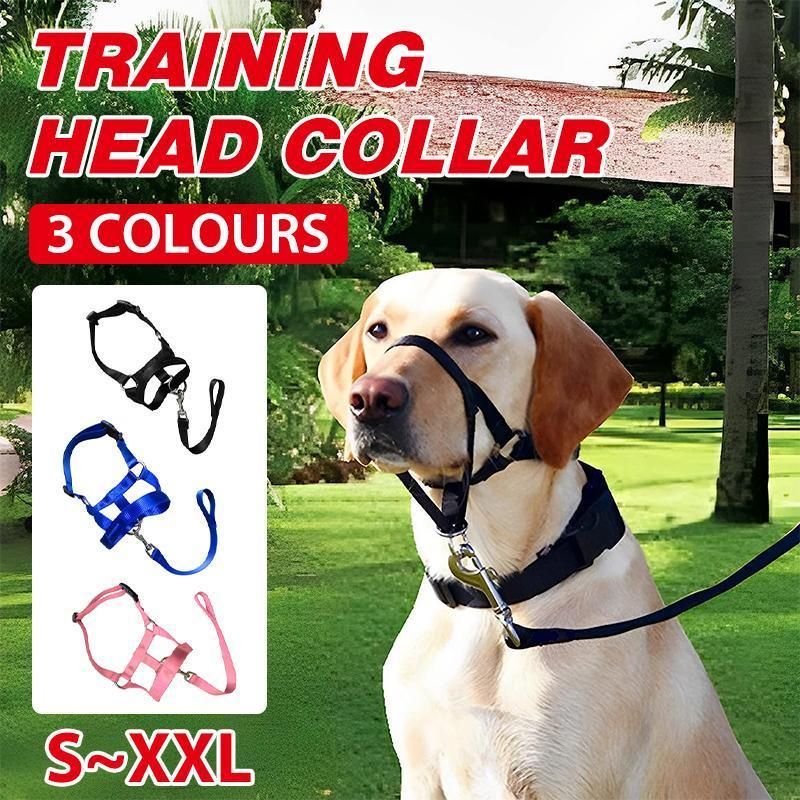 Pink Dog Training Head Collar Halter Stop Pulling Training Tool Harness Strap Leader - XL