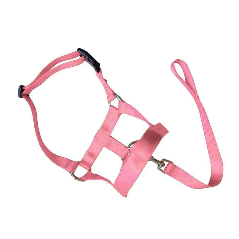 Pink Dog Training Head Collar Halter Stop Pulling Training Tool Harness Strap Leader - XXL