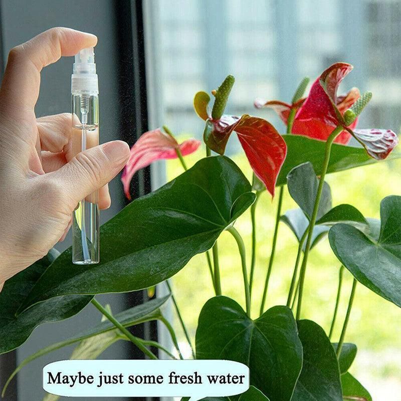 10Pcs Glass Perfume Bottles - 3/5/10ml with Atomizer Pump Spray - 5ML 10PCS