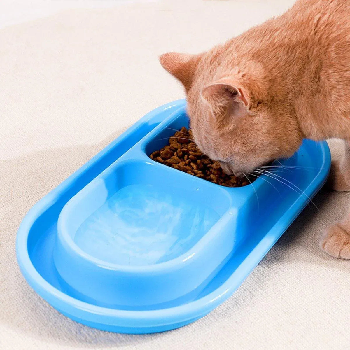 1-Piece Blue Double-Compartment Pet Feeding Bowl
