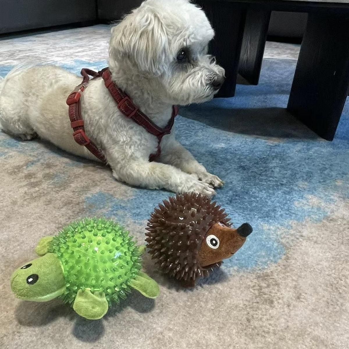 Dog Toy Rubber Spiky Ball Squeaky Chew Sound Interactive Pet Play Training - Turtle