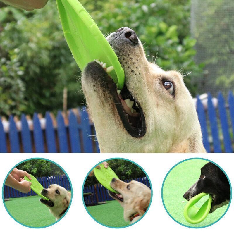 Frisbee Toy for Dogs Outdoor Fetch Training Soft Rubber Pet Flying Disc 18cm - Green