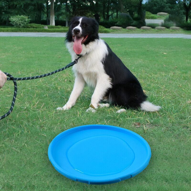 Frisbee Toy for Dogs Outdoor Fetch Training Soft Rubber Pet Flying Disc 18cm - Purple