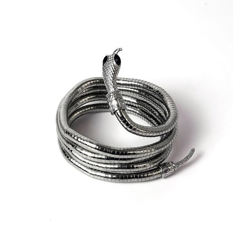 Adjustable Punk Snake Choker Necklace & Flexible Wrap Bracelet Collar Setllar - Silver