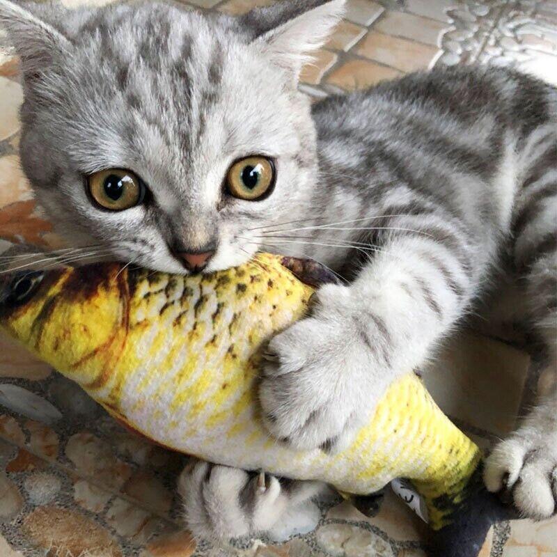 Electric Dancing Fish Kicker Cat Toy Wagging Realistic Moves Usb Rechargeable Au - Silver Arowana