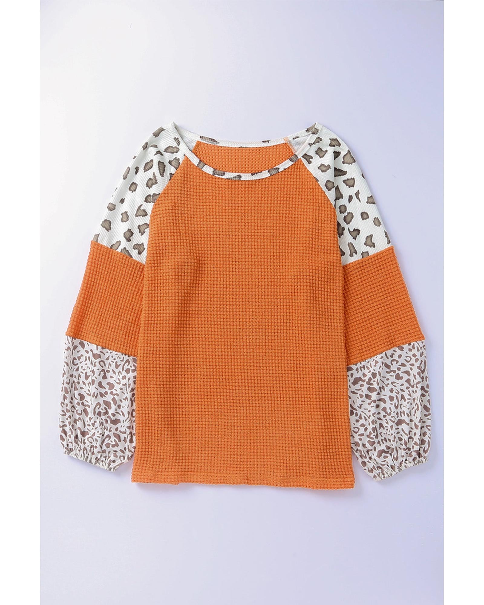 Azura Exchange Leopard Colorblock Top - M