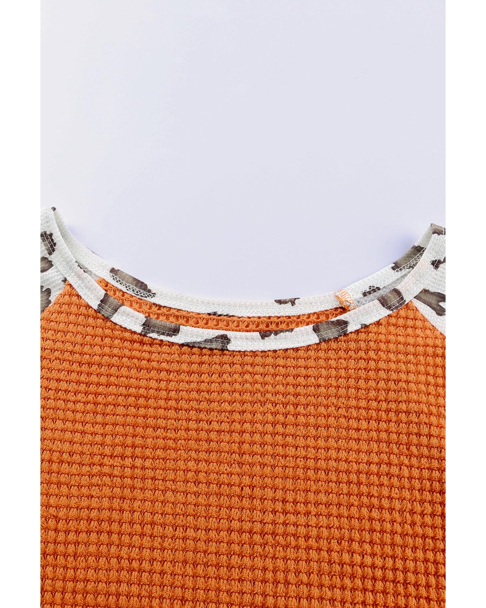 Azura Exchange Leopard Colorblock Top - S