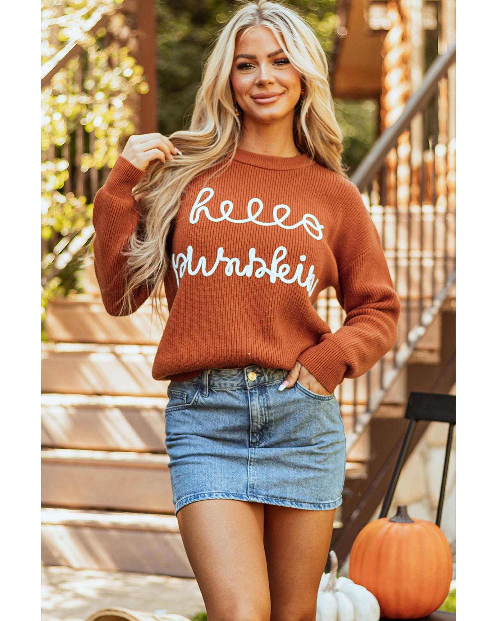 Flamingo Hello Pumpkin Graphic Sweater - M