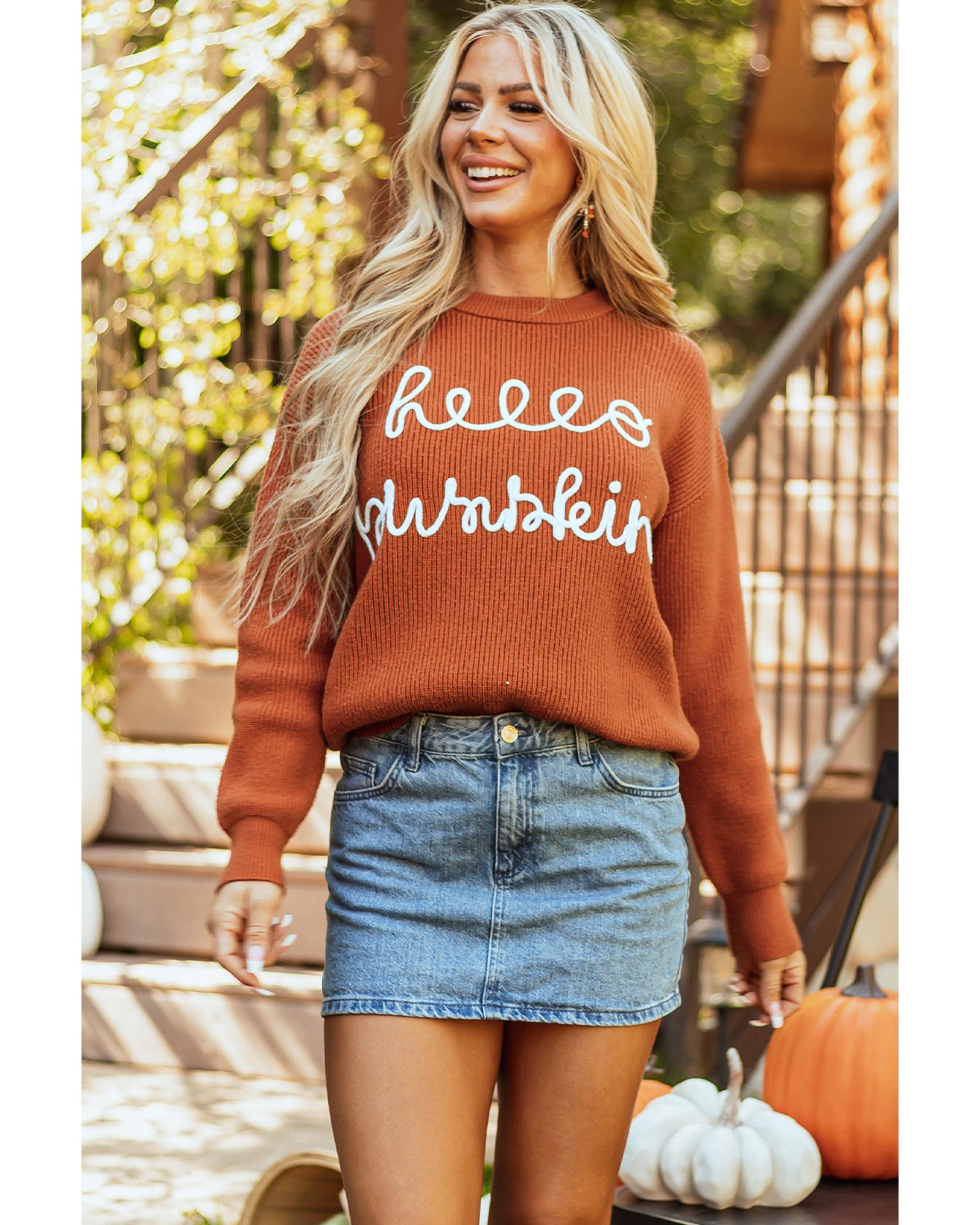 Flamingo Hello Pumpkin Graphic Sweater - M
