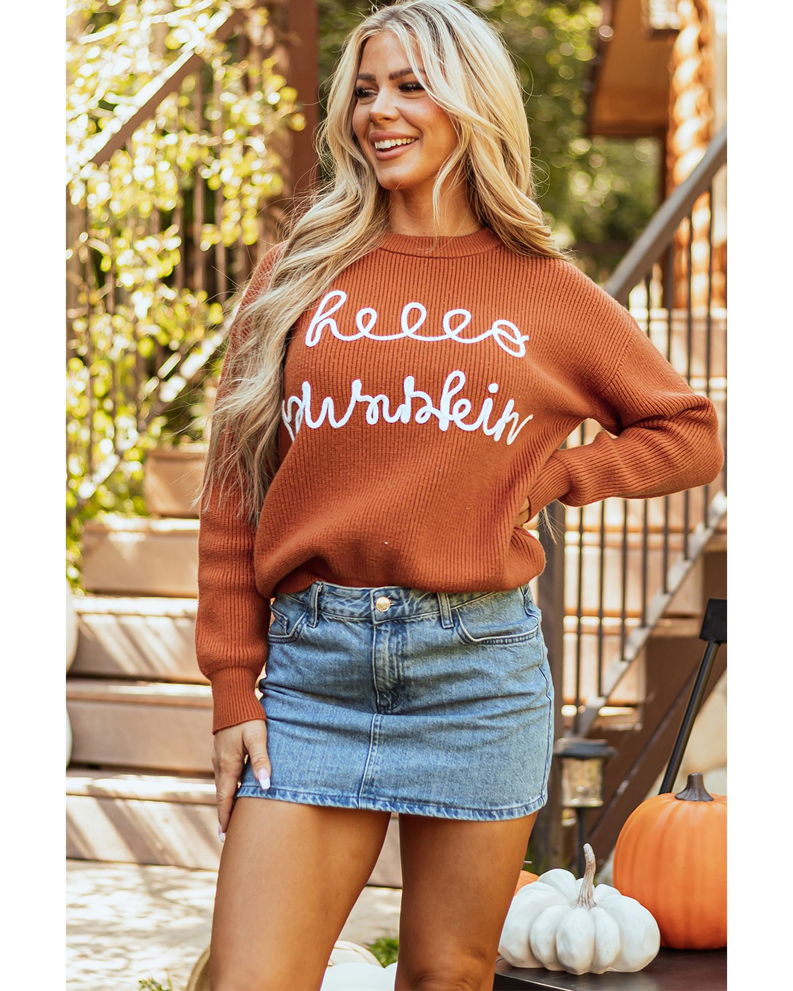 Flamingo Hello Pumpkin Graphic Sweater - S