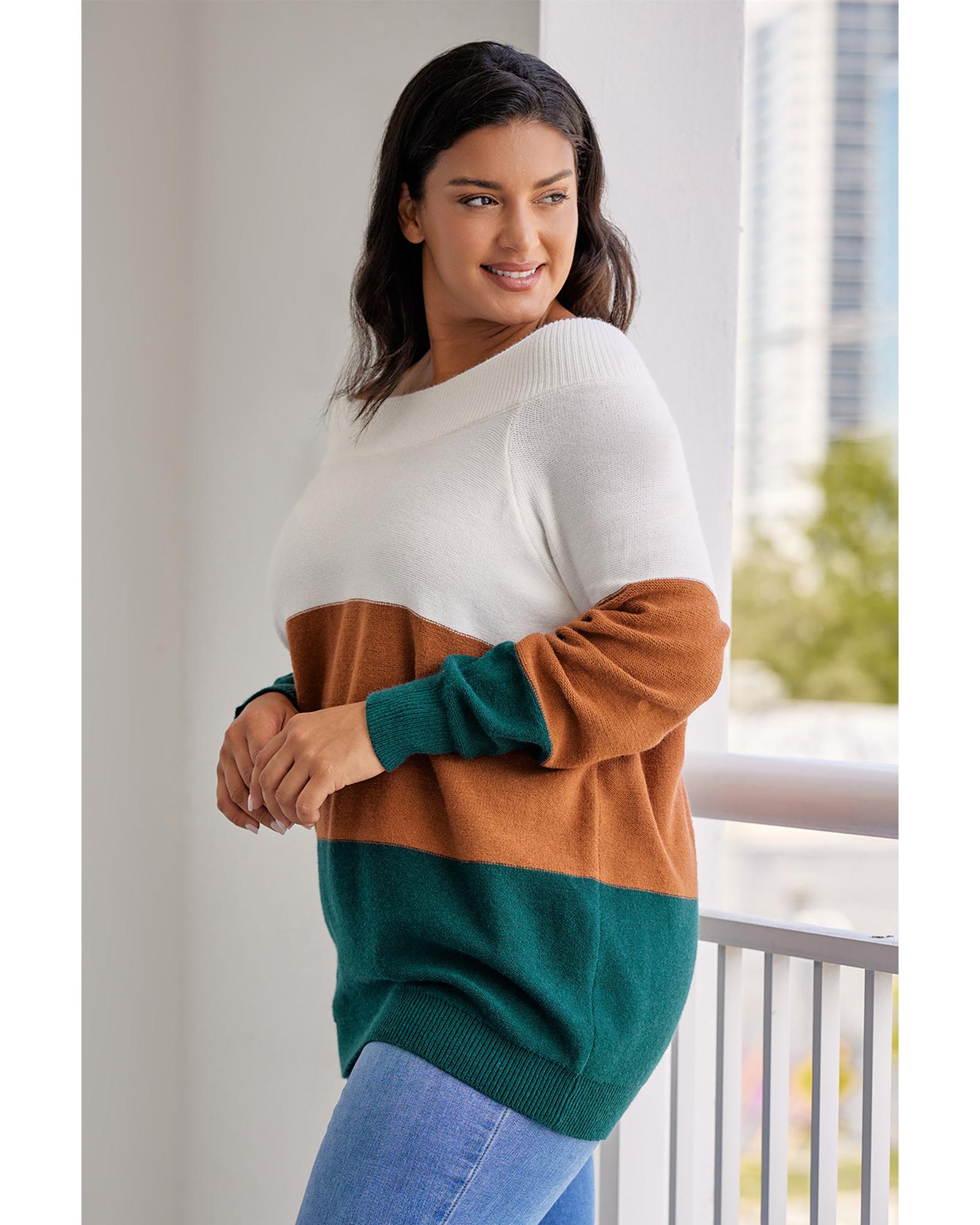 Brown Plus Size Ribbed Trim Color Block Sweater - 1X