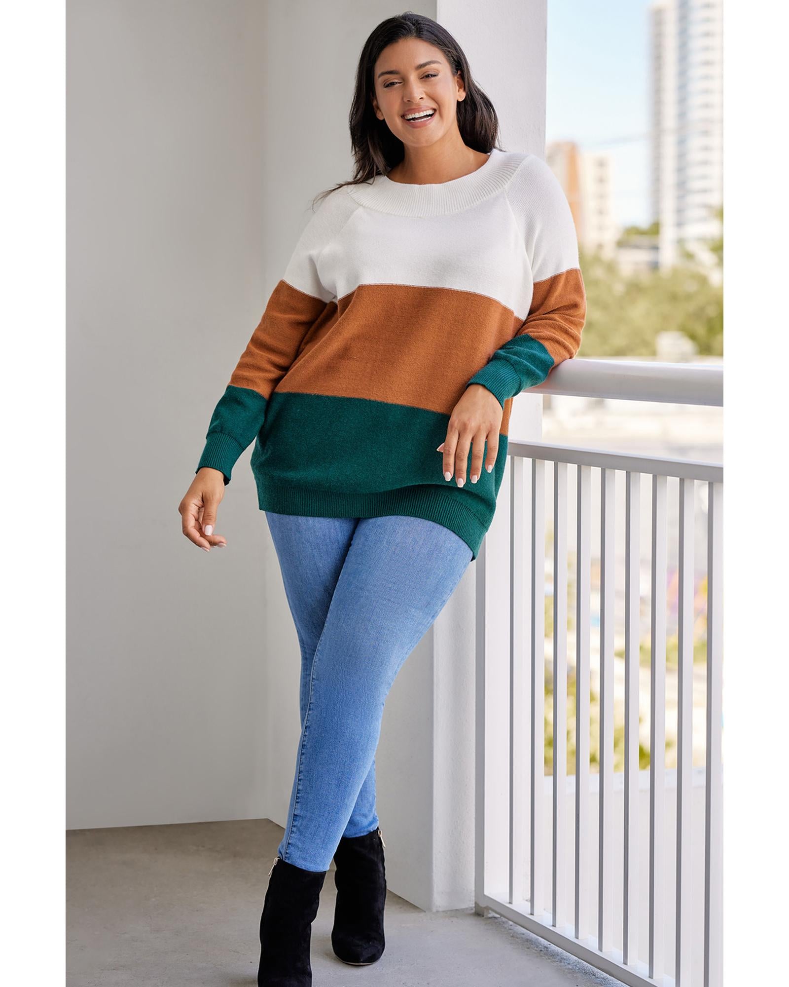 Brown Plus Size Ribbed Trim Color Block Sweater - 1X