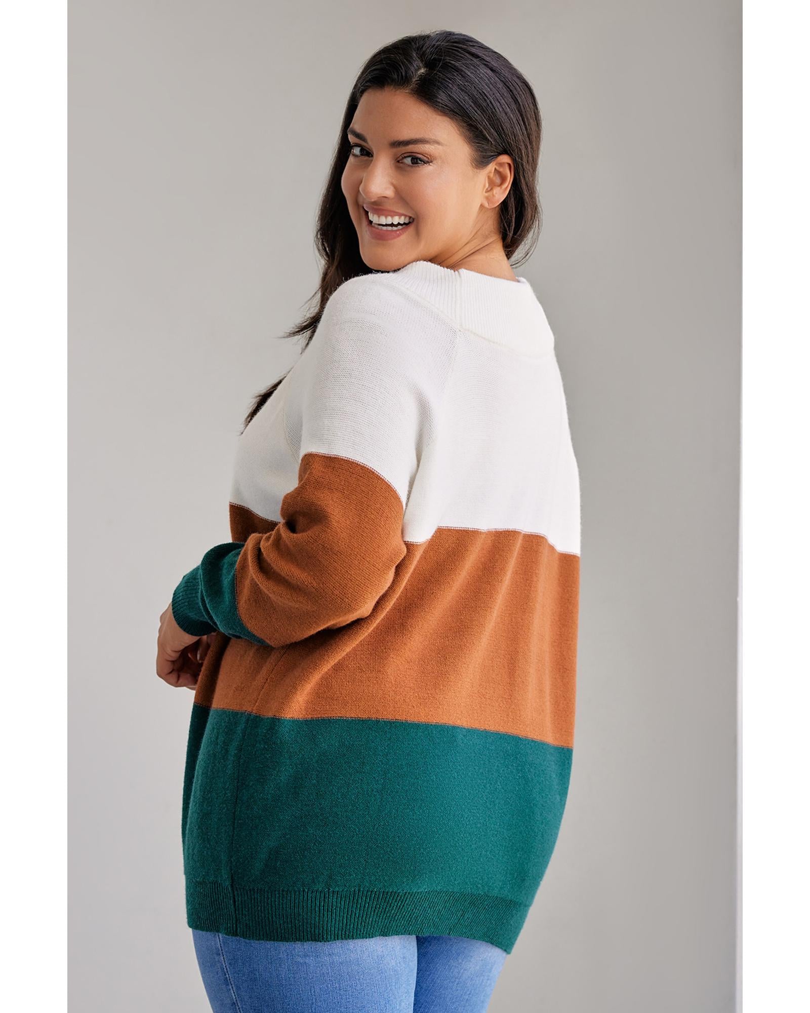 Brown Plus Size Ribbed Trim Color Block Sweater - 2X