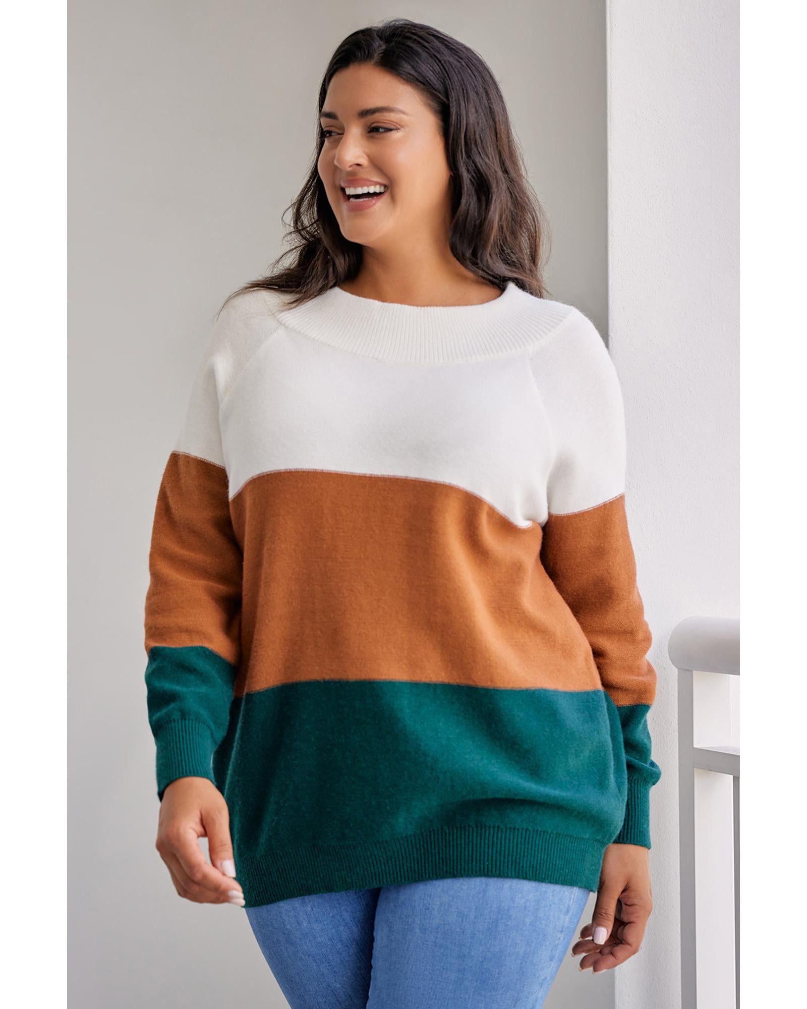 Brown Plus Size Ribbed Trim Color Block Sweater - 3X