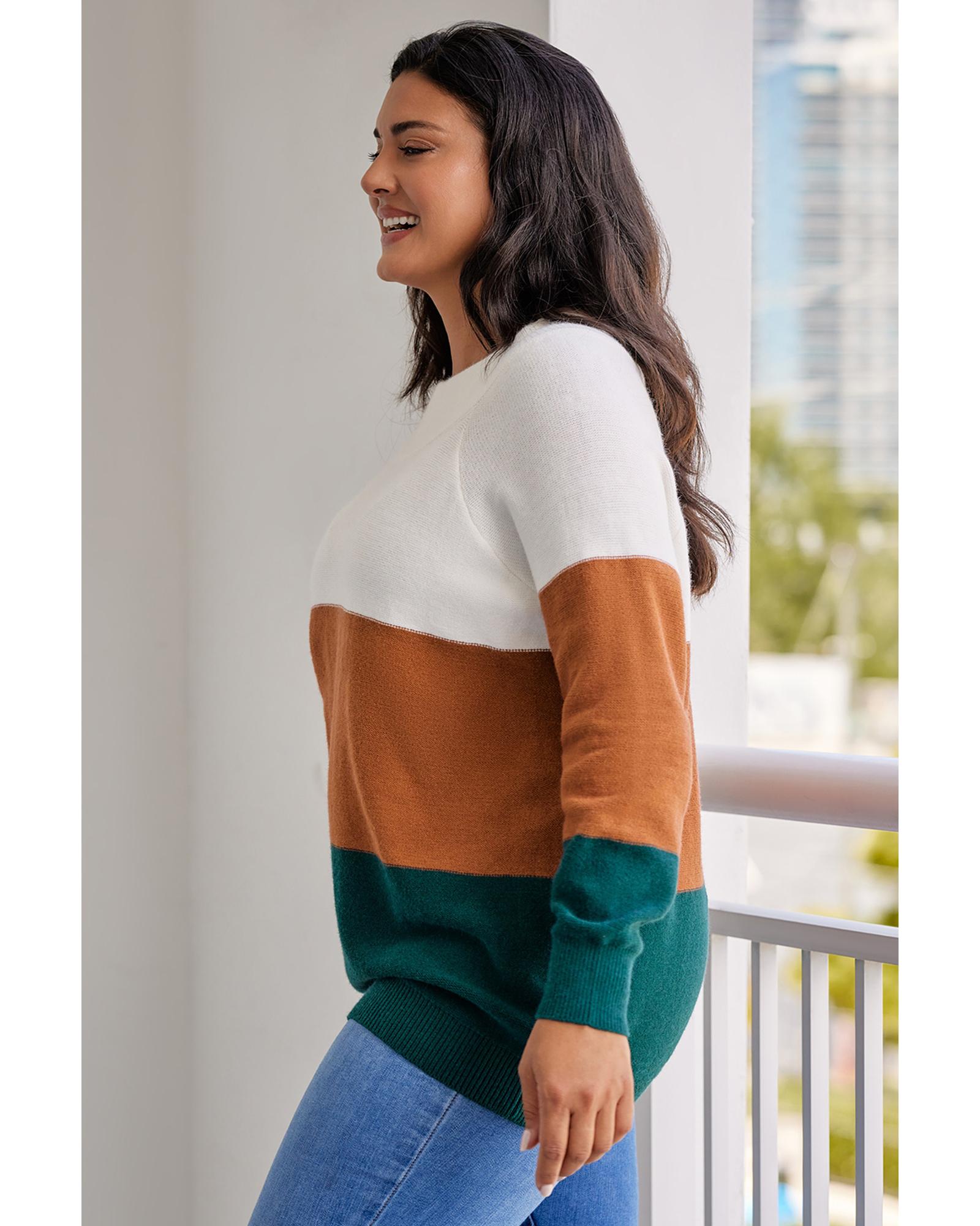 Brown Plus Size Ribbed Trim Color Block Sweater - 3X
