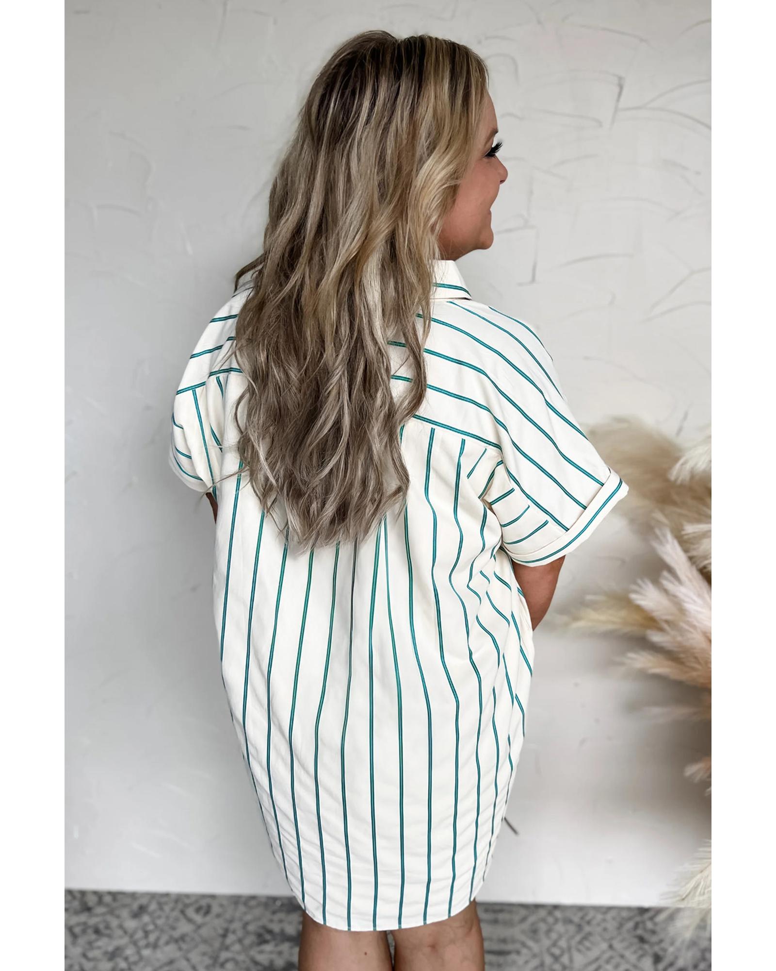 Green Stripe Plus Size St Patricks Day Short Sleeve Buttoned Shirt Dress - 2X