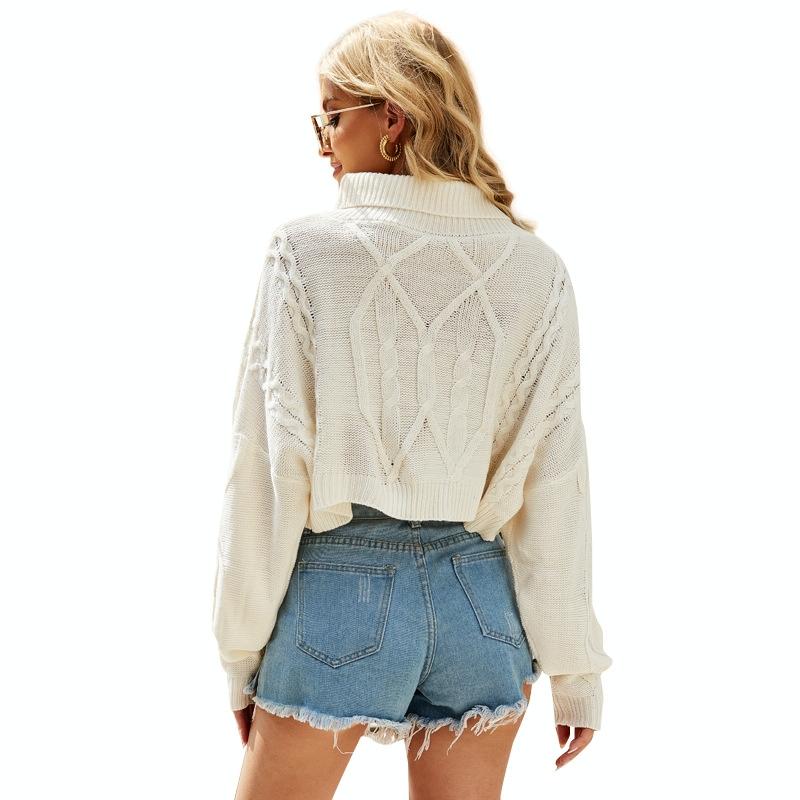 Solid Colour High Neck Pullover Knitted Top Short Stranded Flowers Knitted Sweater - White - S