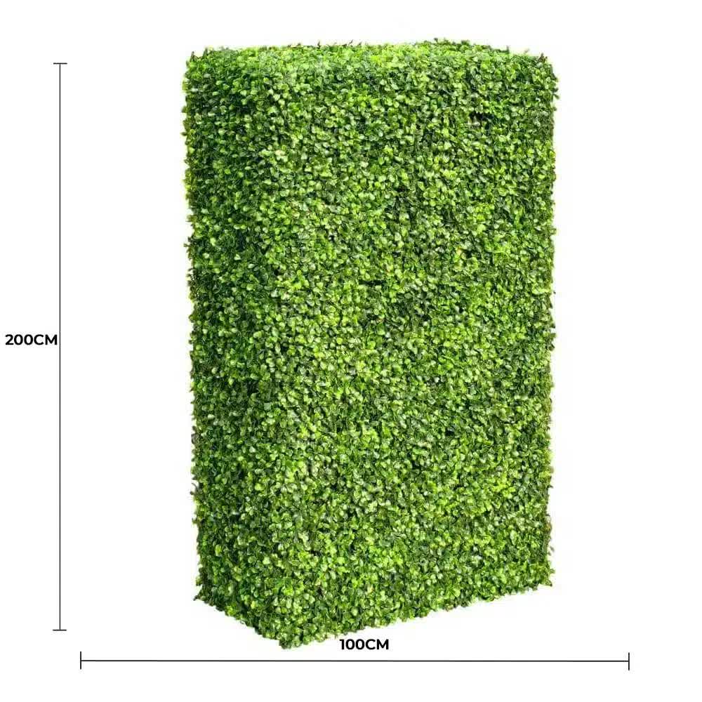 Large Portable Mixed Boxwood Hedge UV Resistant 100cm Long x 200cm High