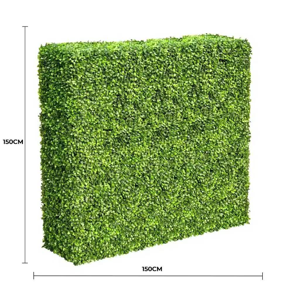 Large Portable Mixed Boxwood Hedge 1.5m by 1.5m UV Resistant