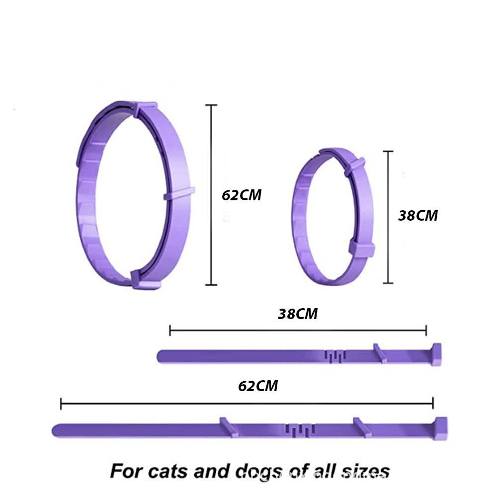 Curated visual reference: Calming Nordic Architecture For Stress Relief Reference: Blue Calming Collars For Dogs Natural Stress Relief Adjustable 3