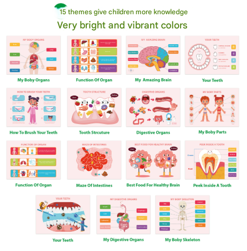 Interactive Human Body Busy Book Set (2 Books) - Educational Quiet Learning Toy for Toddlers