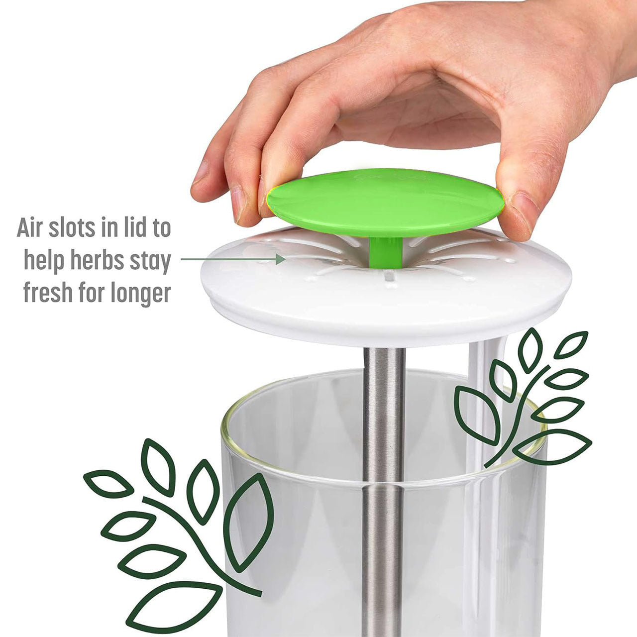 White Premium Herb Savor & Freshness Keeper - Extends Life of Herbs, Cilantro, Parsley & More