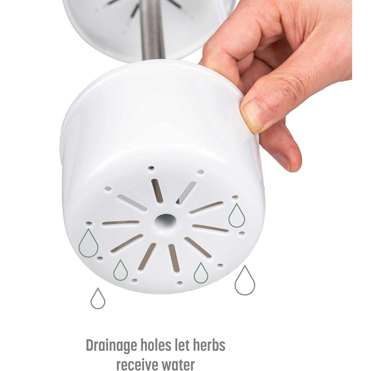 White Premium Herb Savor & Freshness Keeper - Extends Life of Herbs, Cilantro, Parsley & More